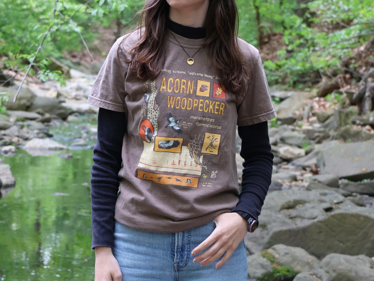 Acorn Woodpecker T-Shirt